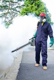 Excalibur Pest Control Pest Control Specialist In Newcastle 2300 Post Jobs Now