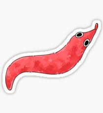 More images for magic transparent worm on a string » Pin On Wormb