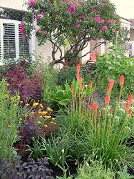 4 reviews of drought tolerant landscapes kelly did a fantastic job landscaping my front garden. Drought Tolerant Plants Drought Tolerant Garden Drought Tolerant Plants Drought Tolerant Landscape