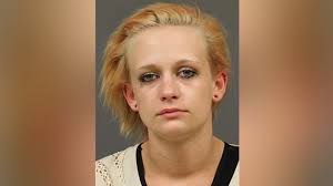 Bridgman 23-year-old with 16 felony convictions sentenced for meth