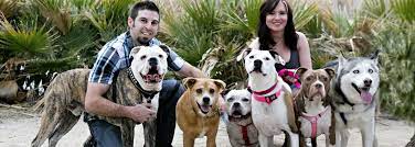 I have also done house and pet sitting in northern california and here in. Smiling Dog Rescue