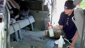 Vinegar is a great remedy for mold because its acidic makeup helps to actually burn the mold away. Complete Mold Removal From Car Interior How To Kill Mold Inside Car
