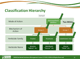 Herbicide Resistant Weeds Training Lessons How Herbicides