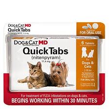 Looking For The Best Flea Medicine For Cats This Article Shows A Simple How To Guide And A Review Of 5 Of The Best In The Flea Treatment Dog Cat Flea