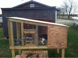 Modern bedroom design ideas ukc forums beagles. Off The Ground Kennels Google Search Pet Kennels Kennel Outdoor