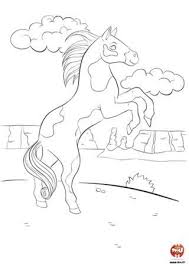N'oubliez pas de visiter d'autres postes sur ce site. Image En Coulere Cheval Au Pat A Imprimer Gratuit Coloriage Cheval Magique En Ligne Gratuit A Imprimer Voir Cette Epingle Et D Autres Images Dans Cartes Papier A Lettres Et Invitations