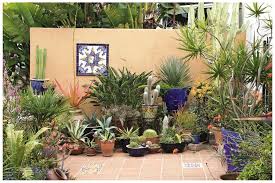 How to decorate the patio with plants. Collection In Patio Pot Plants Ideas Good Potted Plant Ideas Home Decorations Ideas Potted Plants Outdoor Succulents In Containers Succulent Landscape Design