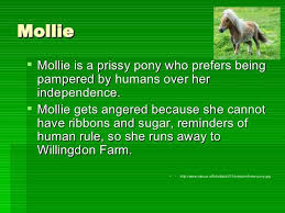 Animal Farm Characters Animal Farm Orwell Animal Farm George Orwell Farm Animals