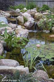 Some of the owners require ultraviolet filters for protection and control. What You Need To Know About Pond Filtration Aquascape Inc