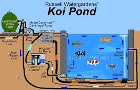 Koi Pond Nice Cross Section To Explain The Filtration System Koi Pond Design Garden Pond Design Koi Pond