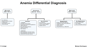 Folic Acid Deficiency Heme Medbullets Step 2 3