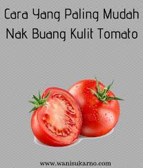 Buat bunda yang inggin mencoba membuatnya bisa menggumpulkan bahan bahannya terlebih dahulu dengan membelinya di pasar ataupun minimarket. Cara Yang Paling Mudah Nak Buang Kulit Tomato
