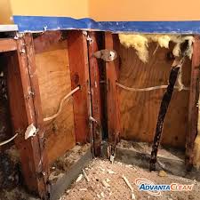Dampness In Any Home Can Lead To Mold And Mildew Growth And In Addition To Being A Health Hazard Moldy Conditions Mold And Mildew Get Rid Of Mold Cleaning Mold