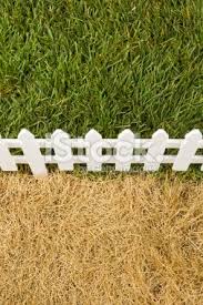 The Grass Is Always Greener On The Other Side Of The Fence Meaning Concept Shot Of The Grass Being Greener On The Other Side Of The Grass Green The Other Side