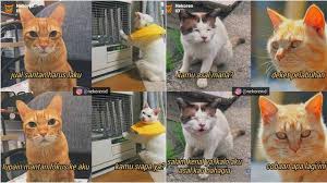 Check spelling or type a new query. 7 Meme Kucing Saat Pdkt Ini Kocak Bikin Ngakak Hot Liputan6 Com
