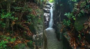 Jauh dari kebisingan dan deru mesin di jalanan. Potret Sejuknya Air Terjun