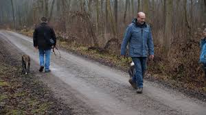 Hallo, balou tut sich schwer mit hundebegegnungen an der leine. Hundebegegnungstraining Dogversations