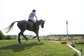 The daughter of bruce springsteen, her impressive performances warranted her a spot in the us show jumping squad. Wshgfgtgtjhpzm