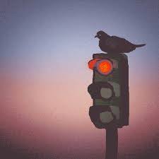 Aesthetic Street Lights Gif Largest Wallpaper Portal