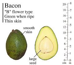Image result for Light Avocado 1972 Fedders