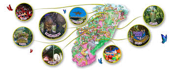 Pronađite hotele u canela na mapi na osnovu popularnosti, cene ili raspoloživosti i pogledajte komentar, fotografije i povoljne ponude na tripadvisoru. Mapa Parque Terra Magica