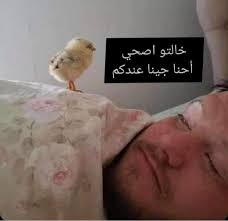 الساعه ٩ الصبح ونايمه عادي أولاد اختي