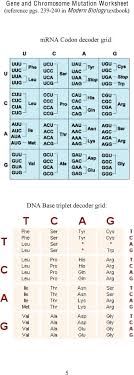 Dna, proteins, and sickle cell sickle cell is disease where person has abnormally synthesis: Gene And Chromosome Mutation Worksheet Reference Pgs In Modern Biology Textbook Pdf Free Download