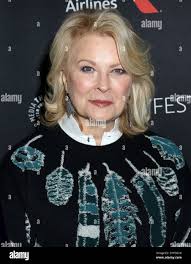 Murphy braun -Fotos und -Bildmaterial in hoher Auflösung