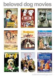 Beloved Doggie Movies Dog Movies Beloved Dog Pampered Dogs