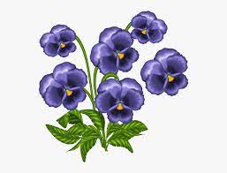 Clip art by mything 3 / 58 violet flowers stock illustrations by irins 0 / 37 flower background with violet flowers. Transparent Pansy Png African Violet Flower Clip Art Png Download Transparent Png Image Pngitem