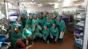 30,559 likes · 2,341 talking about this · 49,539 were here. Cae Visita El Hospital De Manises Cipfp Mislata