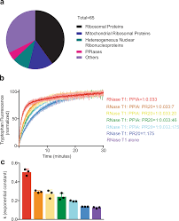 Maybe you would like to learn more about one of these? Proline Arginine Dipeptide Repeat Polymers Derail Protein Folding In Amyotrophic Lateral Sclerosis Nature Communications