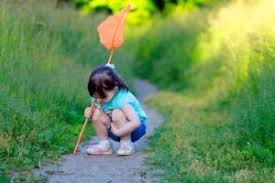 We remain committed to being the best termite control provider in the region based on a rigorous philosophy of leadership and excellence.we provide best pest control in kansas city. Kansas City Pest Control Blog Milberger Pest Control