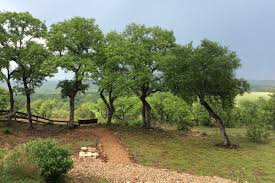 Over the last 30 days, pet friendly campgrounds in texas have been available starting from $62, though prices have typically been closer to $134. Pet Friendly Camping Cabins In Texas Hill Country Glamping Texas
