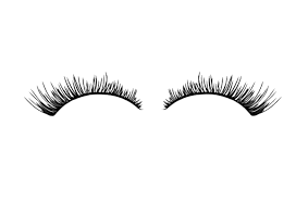 Eyelash Vector Eyelash Png Eyelash Logo Eyelashes Eyebrows Sketch