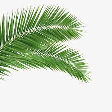 Palm Palm Leaf Leaves Png Transparent Clipart Image And Psd File For Free Download Antique Lamp Shades Small Lamp Shades Pendant Lamp Shade