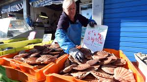 It's kicking in again… the loneliness of celibacy. Les Coquilles Saint Jacques Sont Arrivees Quai Gambetta La Campagne De Peche Est Ouverte