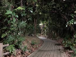 Laifabar prestige centre at 71 bukit batok crescent I Went On A Ghost Hunt At Bukit Batok Nature Park And Here S What You Will Need To Do To Prepare Yourself Lifestyle News Asiaone
