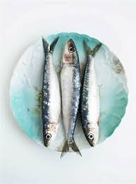 M Y S E A S T O R Y Sardines Elevage De Poissons Poisson