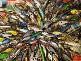 Find the cool backgrounds for your phone, desktop or website. Gallery For Game Fishing Wallpapers Desktop Background