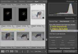 Can't find the answer in the tutorial or forum. How Do I Tag Multiple Photos In Lightroom Photography Stack Exchange