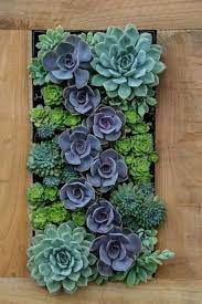 Succulent Garden Indoor Succulent Garden Diy Succulent Arrangements Succulent Arrangement Ind Succulent Garden Indoor Succulent Garden Diy Succulents Indoor