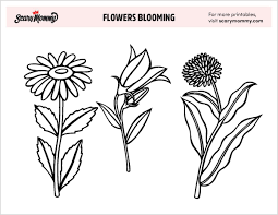 Acolore.com questo sito web vengono utilizzando cookies proprie e di terzi per personalizzare contenuti e gli annunci, per fornire funzionalità di social media e di analizzare il traffico. Disegni Da Colorare Di Fiori Gratuiti Per Far Sbocciare Le Abilita Artistiche Di Tuo Figlio Giochi Divertenti