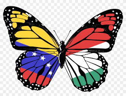 Our team searches the internet for the best and latest background wallpapers in hd quality. Pink Transparent Background Butterfly Transparent Hd Png Download 3922x2800 6495497 Pngfind