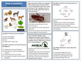 Food Webs Ktizo Companion Lesson In 2020 Food Web Lesson Special Education Modifications