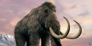 Can We Bring Extinct Species Back Should We Literary Hub