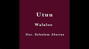 May 04 2013 rab zelalem abera part 2. Dr Zelalem Abera Walalloo Dr Zelalem Temesgen Md Rochester Mn Infectious Walaloo Dr Zelealem Abarraatiin Art Hachalu Hundesaaf 7 1 Maya Renner