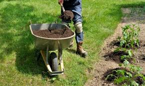 Compost in your garden helps build the nutrient profile of your food. 7 Tips For Making And Using Compost In The Garden