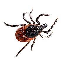 We invite you to stop by and meet our helpful team today. Pest Control In Minneapolis St Paul Mn And Western Wi