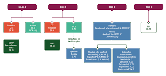 The guidelines are dedicated to the memory of dr ian roos oam, who passed away on 10 april 2015 after a long battle with prostate cancer. Eupdate Hepatocellular Carcinoma Algorithm